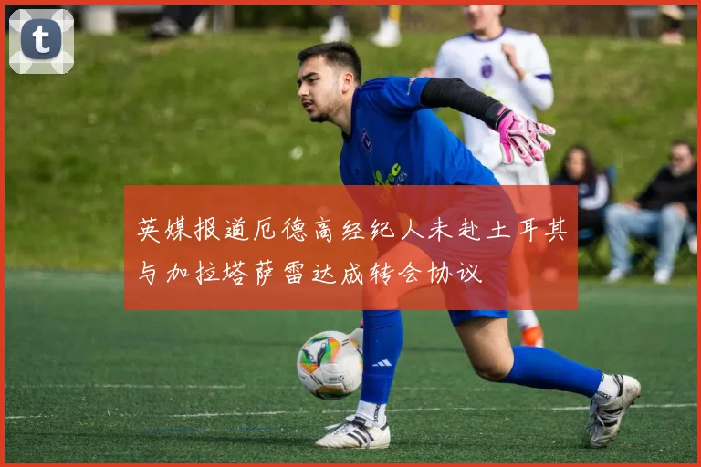 英媒报道厄德高经纪人未赴土耳其与加拉塔萨雷达成转会协议